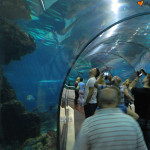 Oceanarium Barcelona